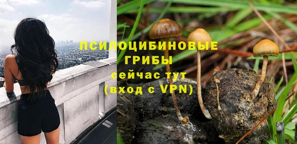 прущий лед Алексин