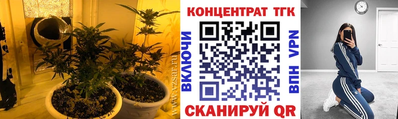 ТГК Wax Тосно