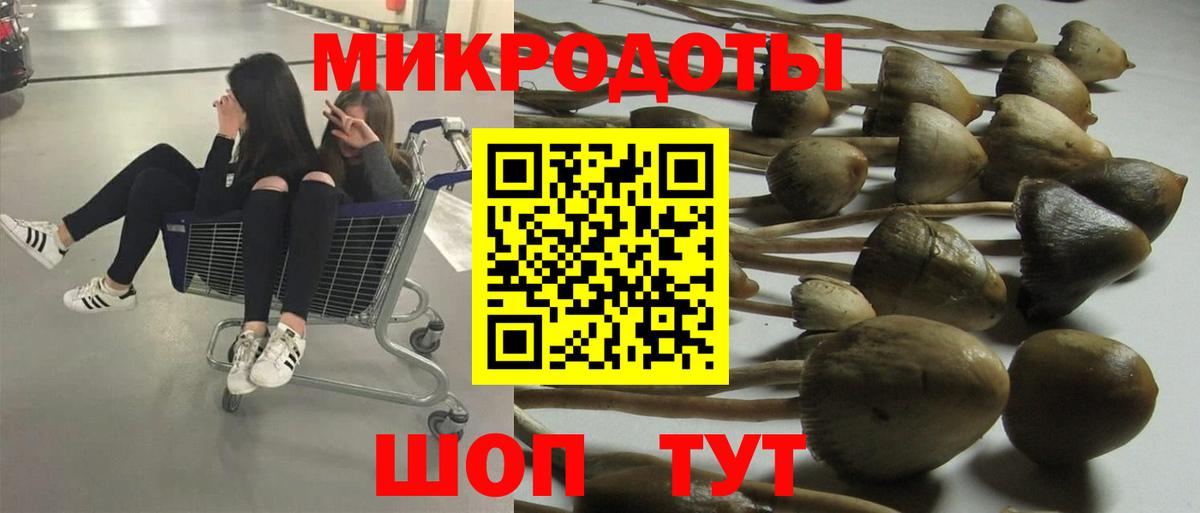 Псилоцибиновые грибы GOLDEN TEACHER  Вход с VPN  Галлюциногенные грибы Psilocybe  купить  сайты  Тосно 